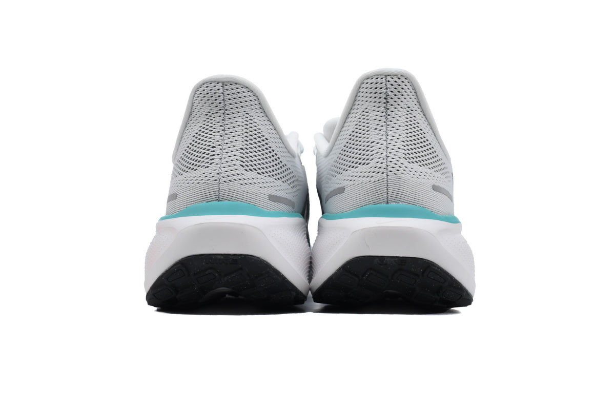 Nike Air zoom pegasus 41