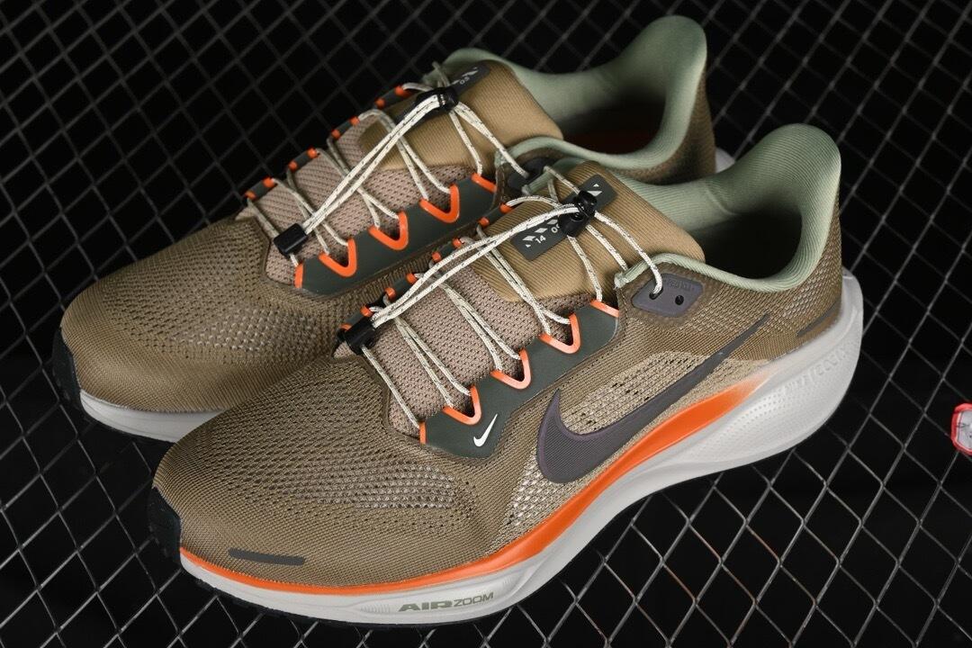 Nike Air zoom pegasus 41