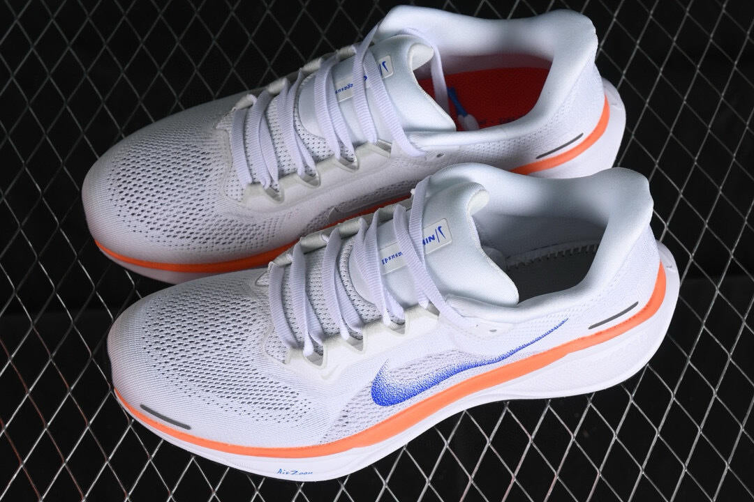 Nike Air zoom pegasus 41
