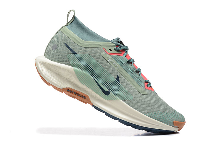 Nike Pegasus trail 5 gore tex