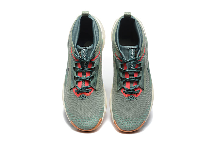 Nike Pegasus trail 5 gore tex