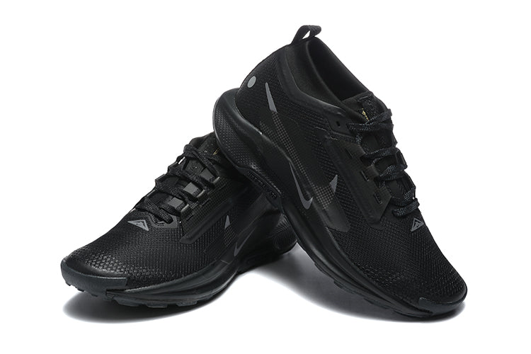 Nike Pegasus trail 5 gore tex