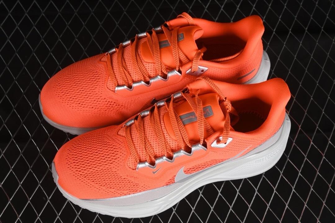 Nike Air zoom pegasus 41